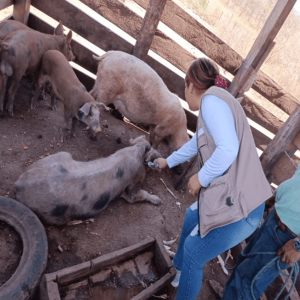 ASISTENCIA TECNICA VETERINARIA 6