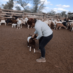 ASISTENCIA TECNICA VETERINARIA 8