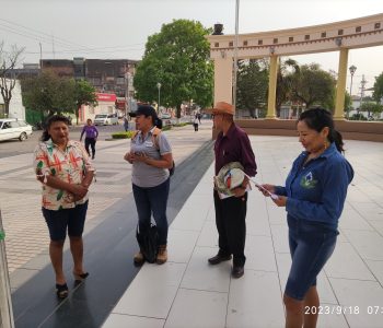 CITY TOUR 1