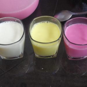 Capacitación de transformación de la leche 11