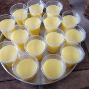 Capacitación de transformación de la leche 14