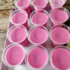 Capacitación de transformación de la leche 15