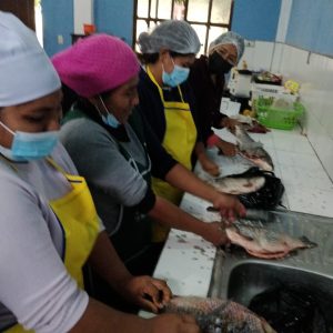 Capacitación transformación y conservación del pescado 11