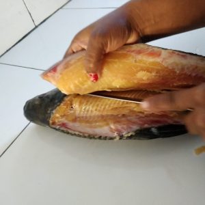 Capacitación transformación y conservación del pescado 3
