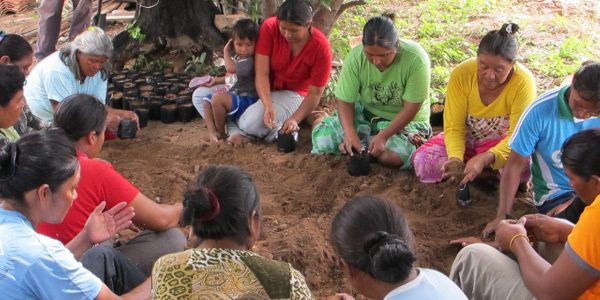 Comunidades Indígenas Originarias Campesinas Comunidades Indígenas Originarias Campesinas