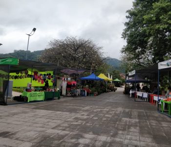 DIA DE LA MADRE 2023 12