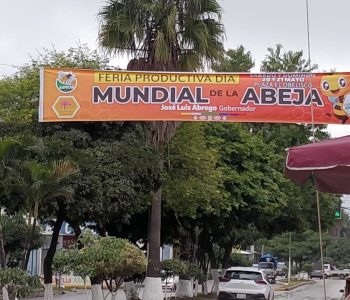 DIA MUNDIAL DE LA ABEJA 1