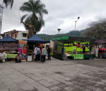 DIA MUNDIAL DE LA ABEJA 2