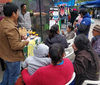 DIA MUNDIAL DE LA ABEJA 3