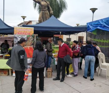 DIA MUNDIAL DE LA ABEJA 4