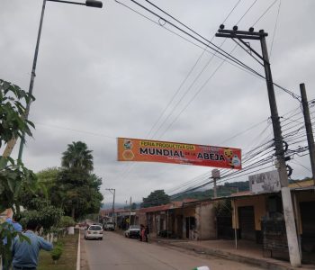DIA MUNDIAL DE LA ABEJA 5