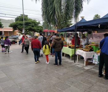 DIA MUNDIAL DE LA ABEJA 6