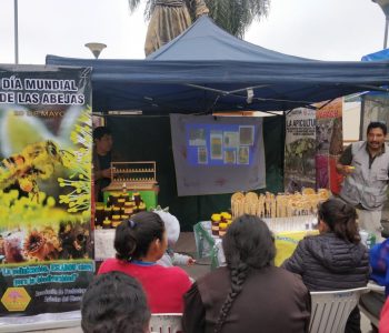 DIA MUNDIAL DE LA ABEJA 8