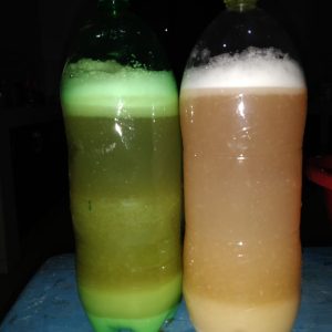 Derivados de la Papa 7
