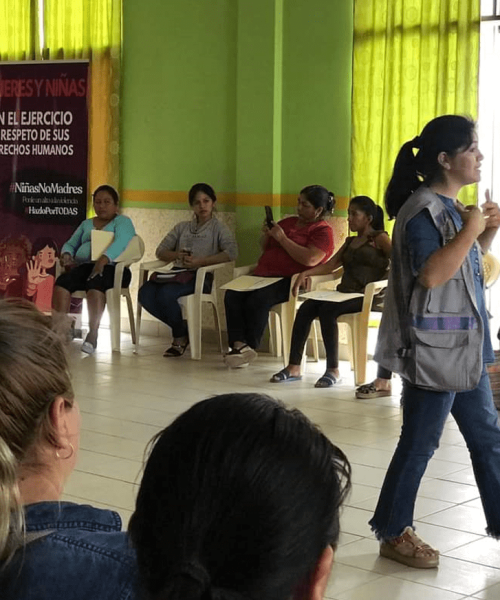 Desarrollo de la Escuela de Liderazgo 1