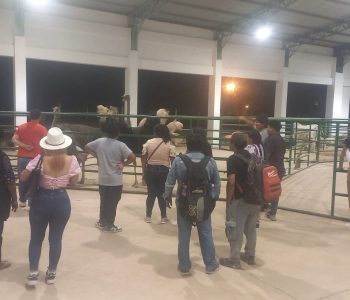 EXPOCHACO SUDAMERICANO 2023 11