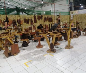EXPOCHACO SUDAMERICANO 2023 5