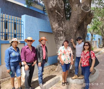 El ARBOL MAS VIEJO 1