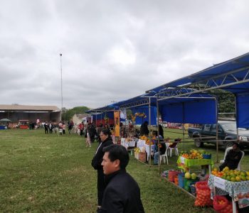 Feria Regional de los Cítricos 1