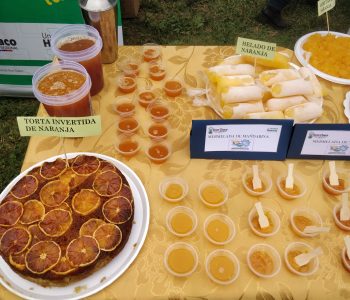 Feria Regional de los Cítricos 2