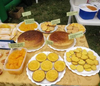 Feria Regional de los Cítricos 3