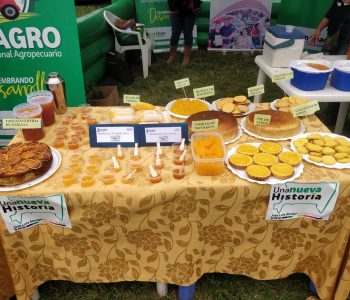 Feria Regional de los Cítricos 5