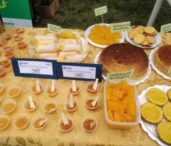 Feria Regional de los Cítricos 7