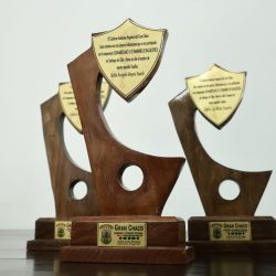 GOBIERNO-REGIONAL-DESTACA-A-LAS-TRES-JOVENES-DEPORTISTAS-2