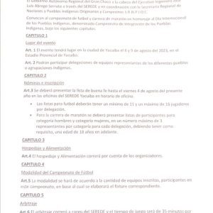 JUEGO DEP. DIA INT. DE LOS PUEBLOS INDIGENAS 1