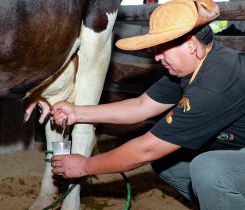 LA-FERIA-DE-LA-LECHE-Y-SUS-DERIVADOS-LE-DIO-UN-BUEN-IMPULSO-A-LA-ECONOMIA-DE-CAMPO-PAJOSO-1