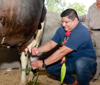 LA FERIA DE LA LECHE Y SUS DERIVADOS LE DIO UN BUEN IMPULSO A LA ECONOMÌA DE CAMPO PAJOSO