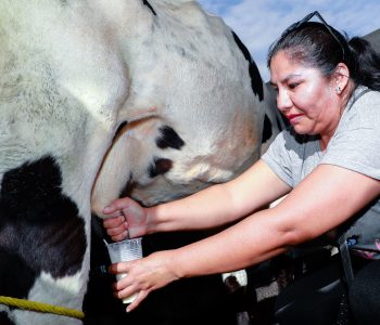 LA-FERIA-DE-LA-LECHE-Y-SUS-DERIVADOS-LE-DIO-UN-BUEN-IMPULSO-A-LA-ECONOMIA-DE-CAMPO-PAJOSO-7