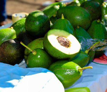 LA-FERIA-DE-LA-PALTA-Y-SUS-DERIVADOS-AGOTO-LOS-PRODUCTOS-PRESENTADOS-11