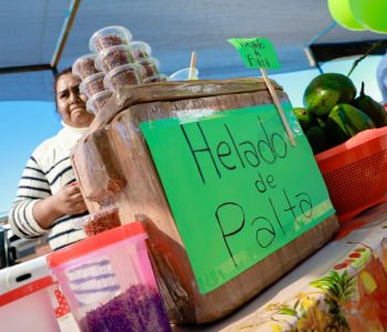 LA-FERIA-DE-LA-PALTA-Y-SUS-DERIVADOS-AGOTO-LOS-PRODUCTOS-PRESENTADOS-12