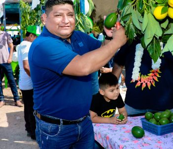 LA  FERIA DE LA PALTA Y SUS DERIVADOS