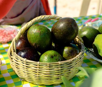 LA-FERIA-DE-LA-PALTA-Y-SUS-DERIVADOS-AGOTO-LOS-PRODUCTOS-PRESENTADOS-2