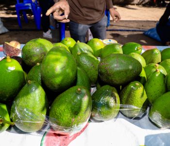 LA-FERIA-DE-LA-PALTA-Y-SUS-DERIVADOS-AGOTO-LOS-PRODUCTOS-PRESENTADOS-6