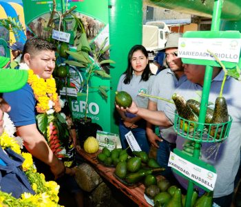 LA  FERIA DE LA PALTA Y SUS DERIVADOS