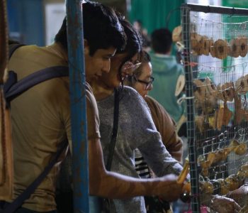 LA-FERIA-DEL-DIA-DEL-ARTESANO-18
