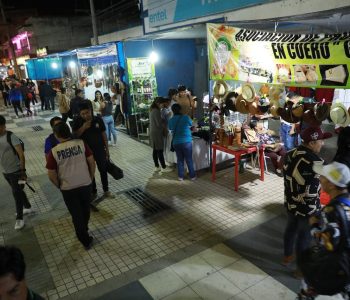 LA-FERIA-DEL-DIA-DEL-ARTESANO-21