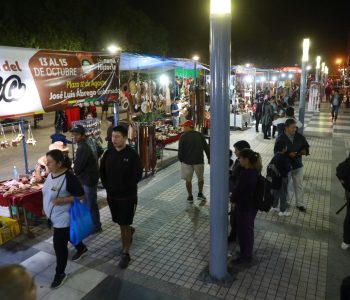 LA-FERIA-DEL-DIA-DEL-ARTESANO-22