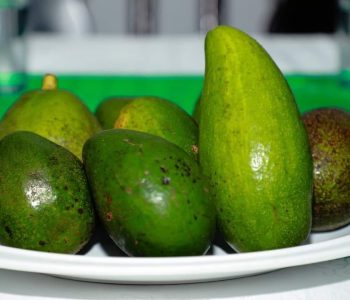 PRODUCTORES-ESTAN-PREPARADOS-PARA-EXPONER-EN-LA-FERIA-DE-LA-PALTA-Y-SUS-DERIVADOS-DEL-DOMINGO-7