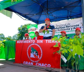 Reforestación con el MST