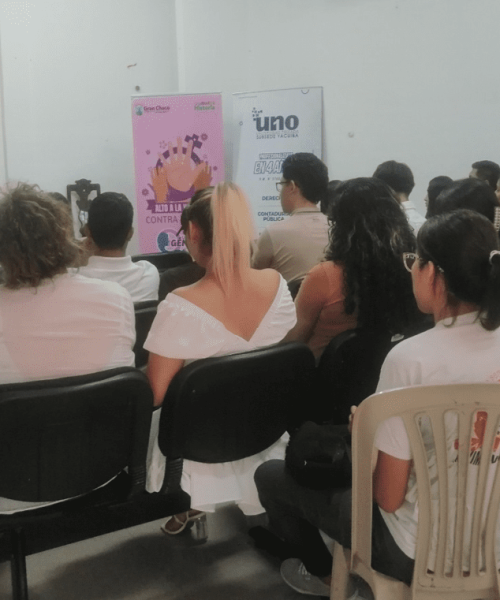 SOCIALIZACION DE LA LEY 348 1