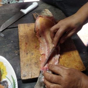 Transformación de la leche, miel y pescado 10
