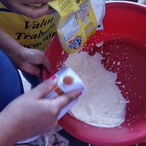 Transformación de la leche, miel y pescado 12