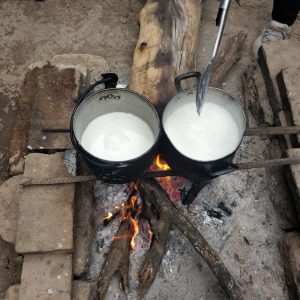 Transformación de la leche, miel y pescado 7