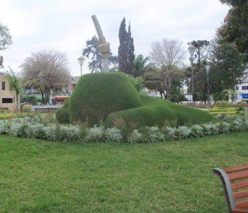 plaza poro